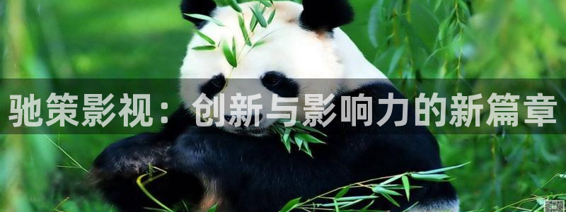 極速影院網站：馳策影視：創新與影響力的新篇章